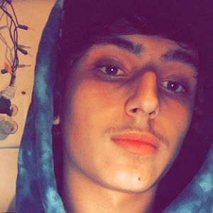 Meet your Posher, Nicholas